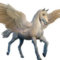 Pegasus(@srao7711) 's Twitter Profile Photo