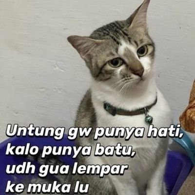 Pncincau's profile picture. 