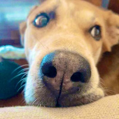 mesilyx's profile picture. Τόπο Στα Νιάτα