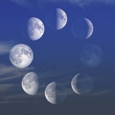 M_Shaqeeq's profile picture. Educator.