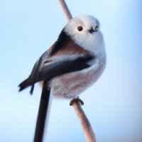 Go Kamoda @ICLR2025→NAACL2025 (@go2oo2) Twitter profile photo