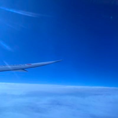 だいずさんのプロフィール画像