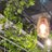 gotomintsky_218