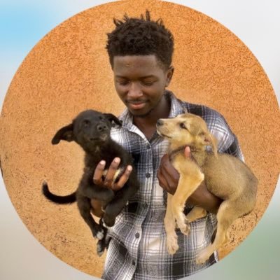 I am on a mission to save helpless street dogs as much as i can. Here in Uganda. come know more about the dogs🐕and help to share the account, follow and donate