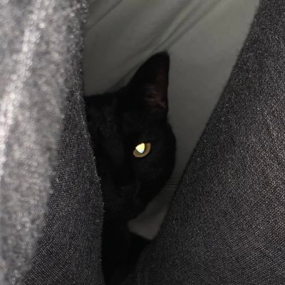 whoreificme's profile picture. fssw anon acc | here to talk shit thats all