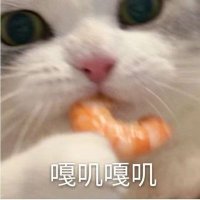 JinC (@goldjinc) Twitter profile photo
