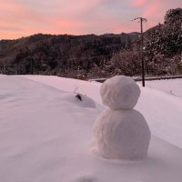 meidenti (@8hqqbv5p9m) 's Twitter Profile