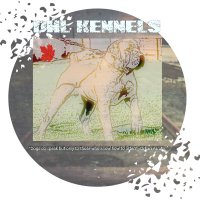 DHL kennels(@dhl_kennels) 's Twitter Profile Photo