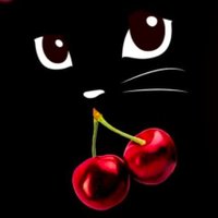 HazelynnRose ๐ธ๐โโฌ๐ฆ๐ฐ (@hazelynnrose) 's Twitter Profile