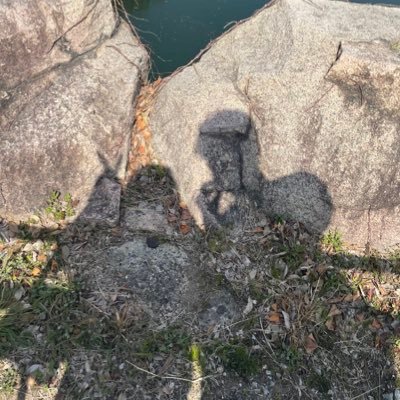 AXv7c0's profile picture. 日韓カップル/遠距離恋愛/ 2023.03.27~           2024.09.26🌸