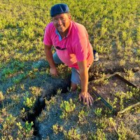 Fernando Santarcieri (@fsantarcieri) 's Twitter Profile