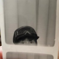 The G (@notvanveen) 's Twitter Profile Photo The G (@notvanveen) 's Twitter Profile Photo