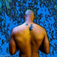 josivalFotos (@josivalfotos) 's Twitter Profile Photo josivalFotos (@josivalfotos) 's Twitter Profile Photo