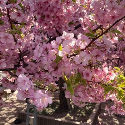 JP🇯🇵
超絶雑多垢、全ての趣味を詰め込んでる
余り慣れていないため失礼な事があるかもしれません
すぐにいいね押します(不快でしたらすみません) ミュート推奨
無言フォロー失礼します。