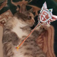 rzinFN (@rzinfn) 's Twitter Profile