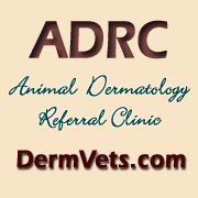 Extensive post-doctoral training in diagnosis/treatment of pets w/disease of skin, mouth, ears, hair, nails--treating allergic, infectious & other skin diseases