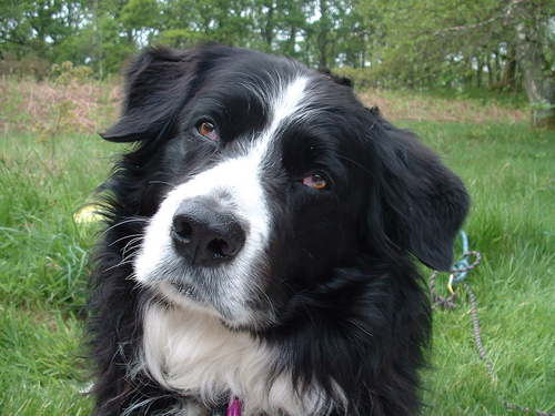 kemi1313's profile picture. Just love riding the bike. Aspiring to ride faster & better each ride,