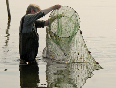 Blog/site for recreational and commercial shrimping, shrimp farms, recipes, how-to's, resources, forums and more.