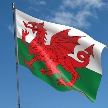 WelshRugbyProgress Profile