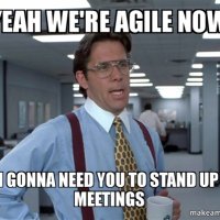 Not My Agile(@NotMyAgile) 's Twitter Profile Photo