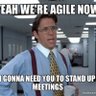 NotMyAgile's profile picture. Things you should not hear from an agile coach (but might). #NotMyAgile is satire.