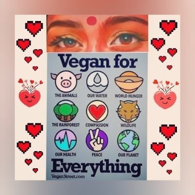✦Spirituality made me vegetarian & Reality to #vegan
(facts https://t.co/JTF5SfS62P) ✦Reg #Pigoneer ✦@so0okshma