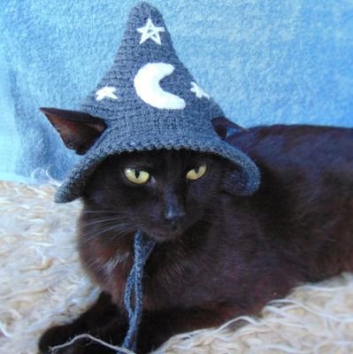 fufuさんのプロフィール画像