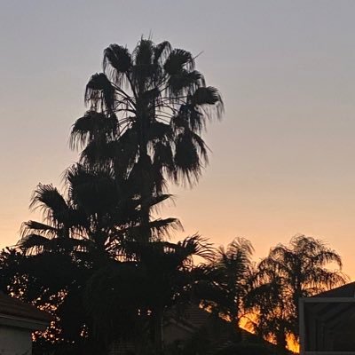 LisaHflorida's profile picture.