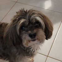 PositivelyHopeful23 (@hopeful23sct) 's Twitter Profile Photo PositivelyHopeful23 (@hopeful23sct) 's Twitter Profile Photo