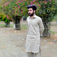 Sibghat Ullah Bhatti(@Sibghatullah032) 's Twitter Profile Photo