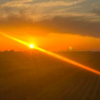 ブーンマイト (@c6h12o6ss) Twitter profile photo