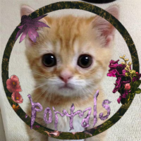 Alex Gato 🐦 (@principempanado) 's Twitter Profile Photo Alex Gato 🐦 (@principempanado) 's Twitter Profile Photo
