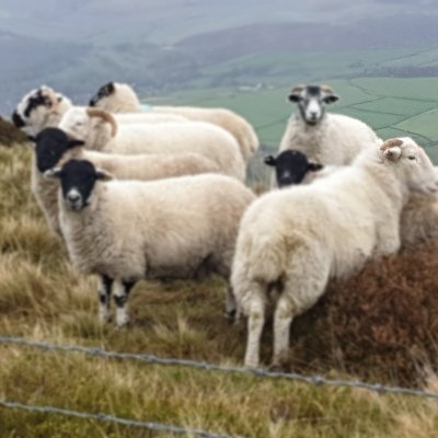 HillFarmersUK's profile picture. https://t.co/gGGDSuogX4