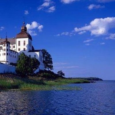 cdcinchina's profile picture. 