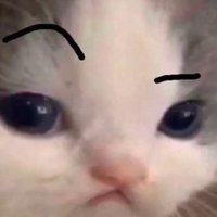 ain't no way (@hnae003) 's Twitter Profile