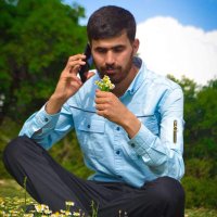 Serkan Titiz (@davetcitr) 's Twitter Profile