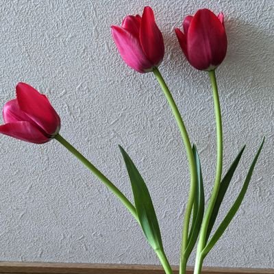 ko_ayuo_724's profile picture. 「最愛」大ちゃんから
K's room住人へ
ゆっくりマイペースに推していけたら…