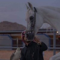 Möĥämęð👑 (@m_h_a_m_e_d_34) 's Twitter Profile