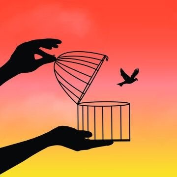 चाहन्छु, रङ्गीन फिर्फिरे झैं होस मेरो जीवन... Tweets personal | Retweets are not endorsements |