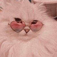 Hilal (@gundokumu1) Twitter profile photo