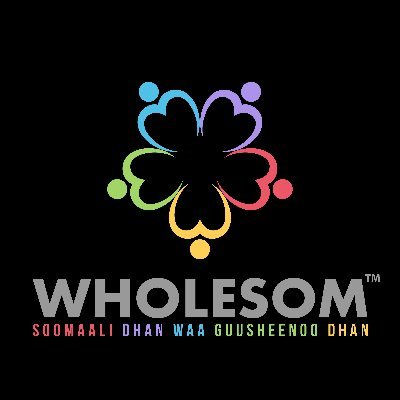 Join the #Wholesom movement to empower & uplift the #Somali commUNITY. We foster #wellness & #oneness, preserve & promote #culture, and inspire positive change.