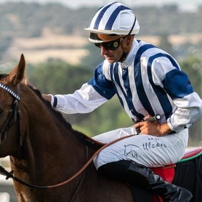 Professional Jockey based🇪🇸
Champion 2021 y 2018
📈 Wins in🇫🇷🇪🇸🇵🇱🇵🇹🇲🇦🇨🇿🇸🇦 Manager canter@canterturf.com
#NuncaTeRindas