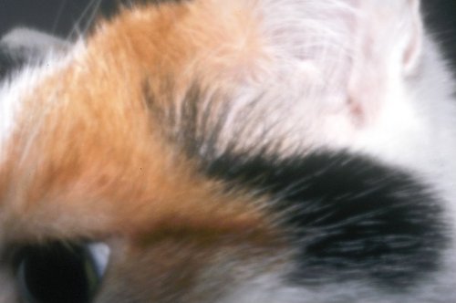 MarkPow1's profile picture. Usual disclaimers.