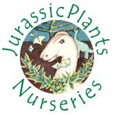 Jurassicplants Nurseries is an award winning, family run plant nursery based in the UK, specialising in supplying hundreds of rare and exotic trees & shrubs.