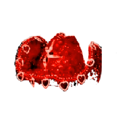 BRRACDA's profile picture. 