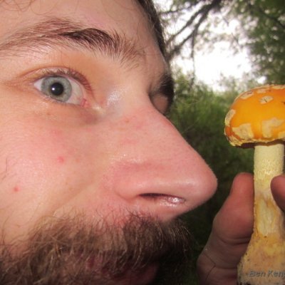 FungiwithBengi Profile Picture