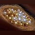 Astra (@kellyfjewels) Twitter profile photo Astra (@kellyfjewels) Twitter profile photo