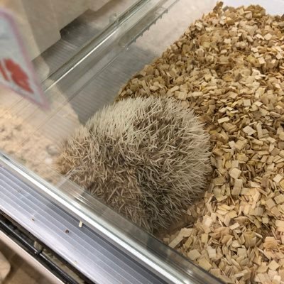 5YmsMqJiEa7VXOz's profile picture. 