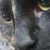 Sunde (@matiassundelin) Twitter profile photo Sunde (@matiassundelin) Twitter profile photo