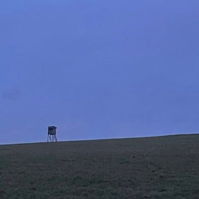 pssscccchhhhtt's profile picture. pscht